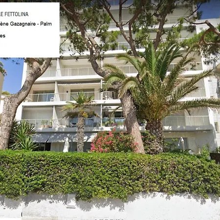 Fettolina Palm *